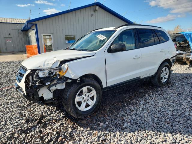 Global Auto Auctions: 2009 HYUNDAI SANTA FE G