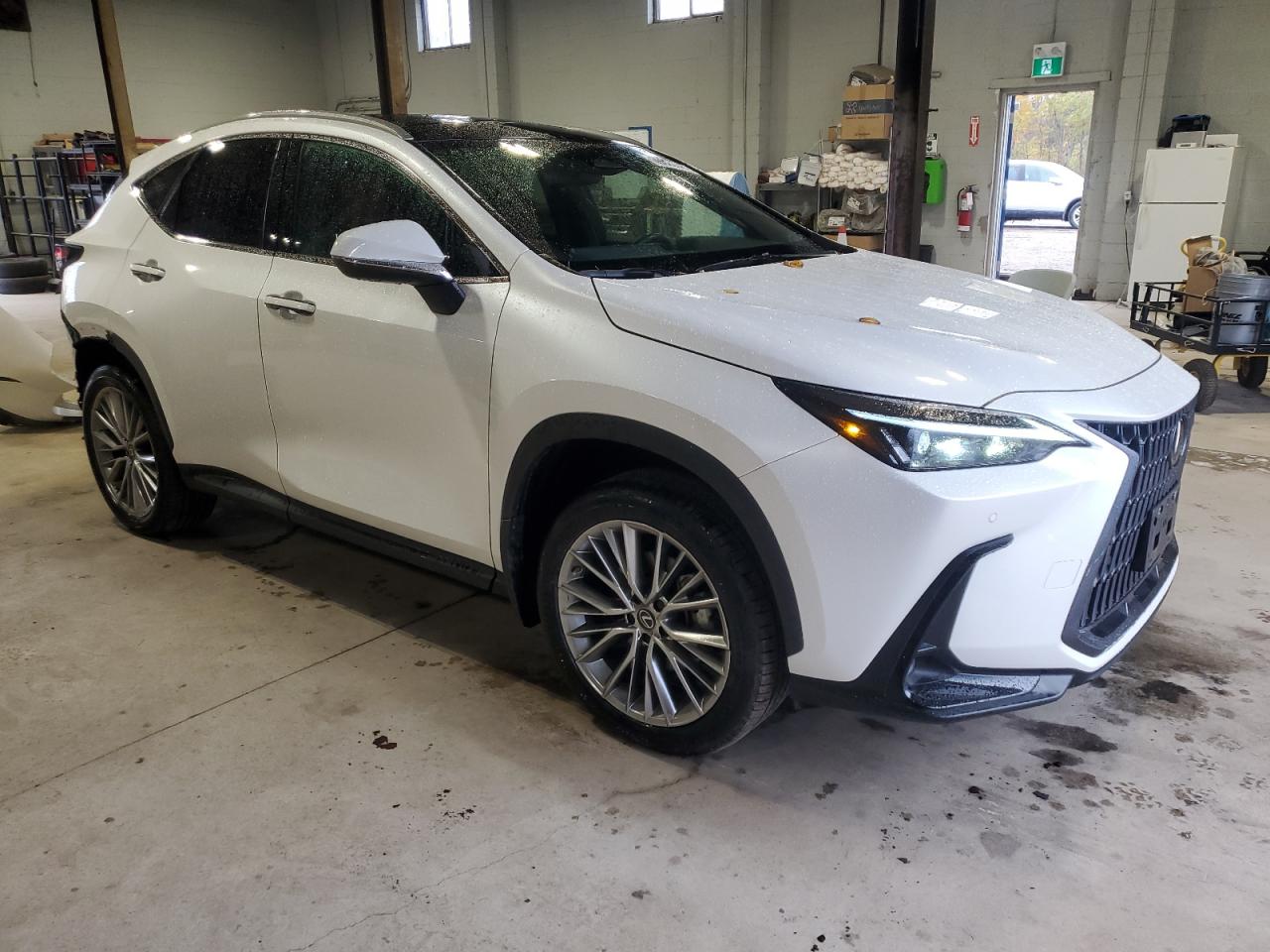 LEXUS NX 350H