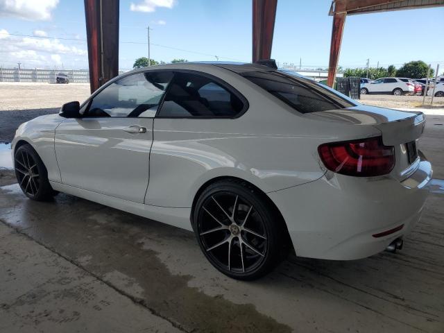 2015 BMW 228 I WBA1F5C59FV257206