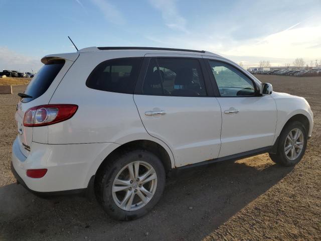 2010 HYUNDAI SANTA FE S - Other View