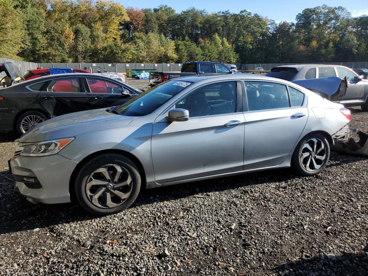 HONDA ACCORD EXL