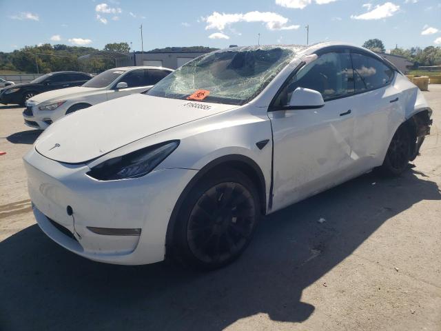 Global Auto Auctions: 2022 TESLA MODEL Y