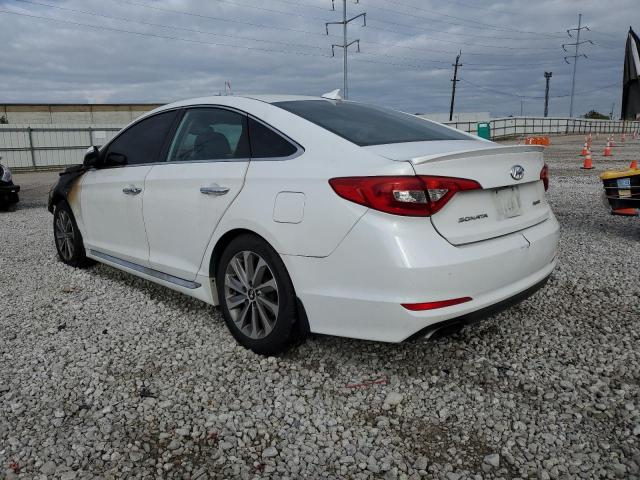 2017 HYUNDAI SONATA SPO 5NPE34AF2HH502143