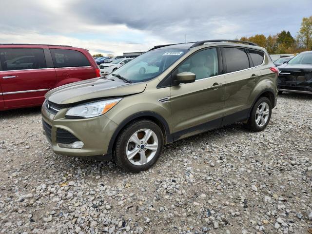 Global Auto Auctions: 2014 FORD ESCAPE SE