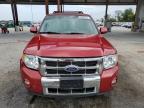 Lot #3310325021 2010 FORD ESCAPE LIM