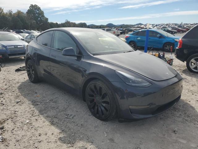 2025 TESLA MODEL Y #3301808336