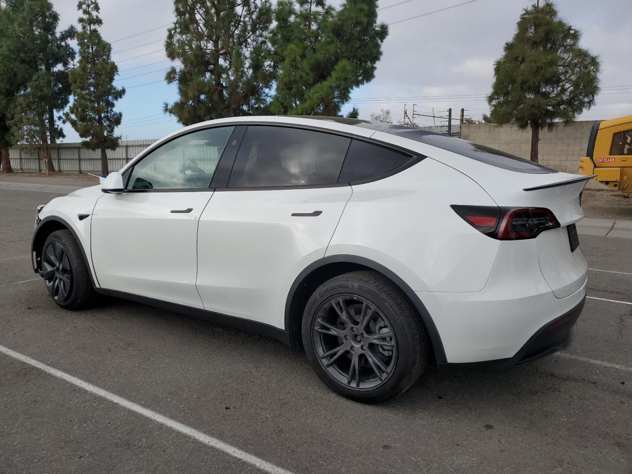 Lot #3302700005 2024 TESLA MODEL Y