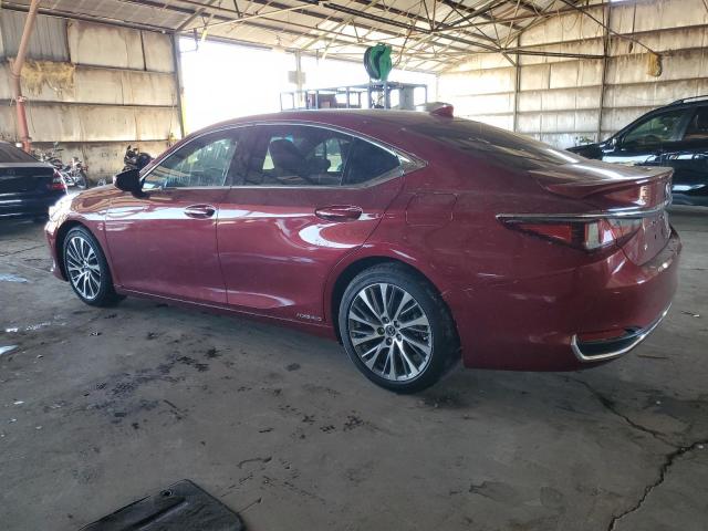 2021 LEXUS ES 300H 58ADA1C18MU010691