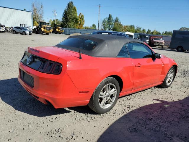 2013 FORD MUSTANG - 1ZVBP8EM6D5239282