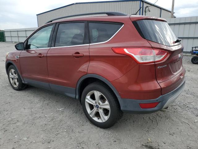 2014 FORD ESCAPE SE - 1FMCU0GX1EUA98892