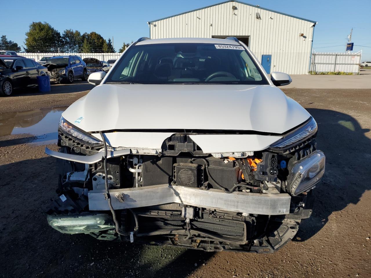 Global Auto Auctions