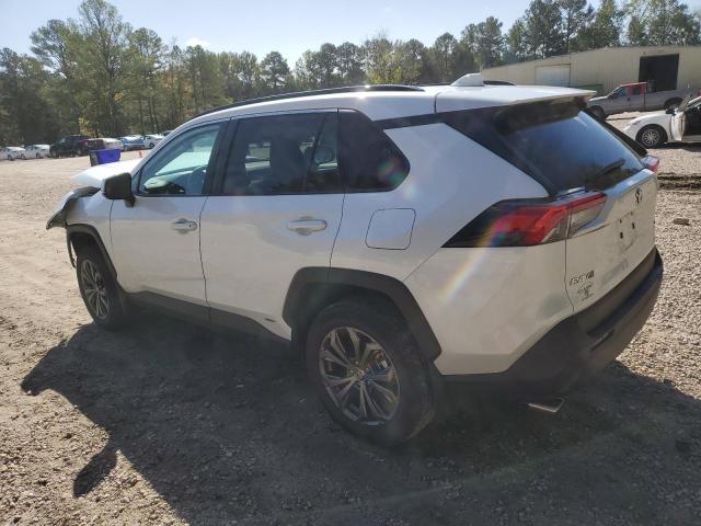 2024 TOYOTA RAV4 XLE PREMIUM - 4T3B6RFV7RU173005