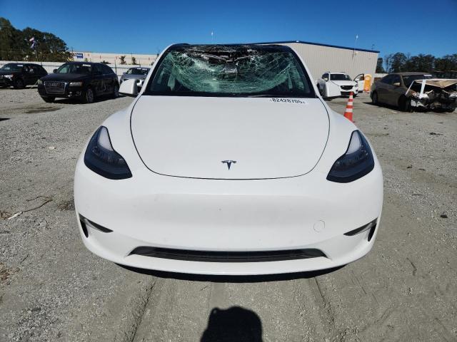 2021 TESLA MODEL Y #3281635399