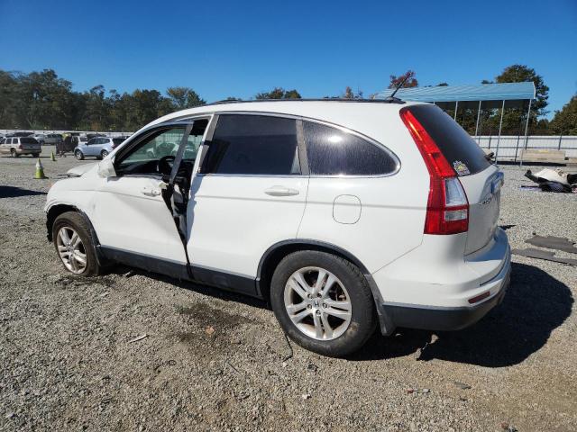 2010 HONDA CR-V EXL #3279579260