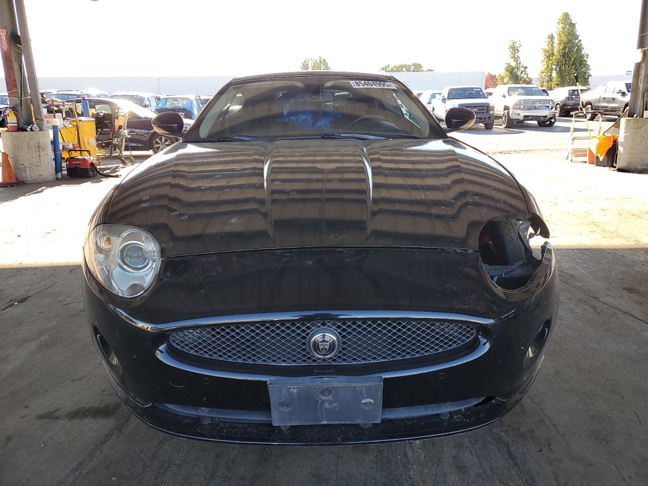 Lot #3302030156 2009 JAGUAR XK