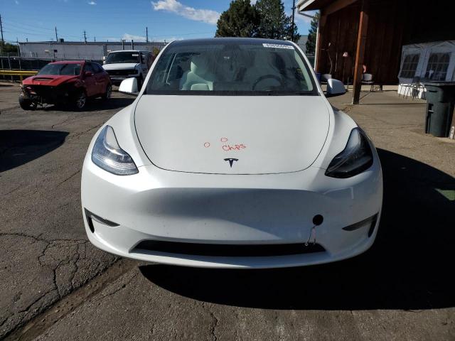 2023 TESLA MODEL Y - 7SAYGDEE2PF614539