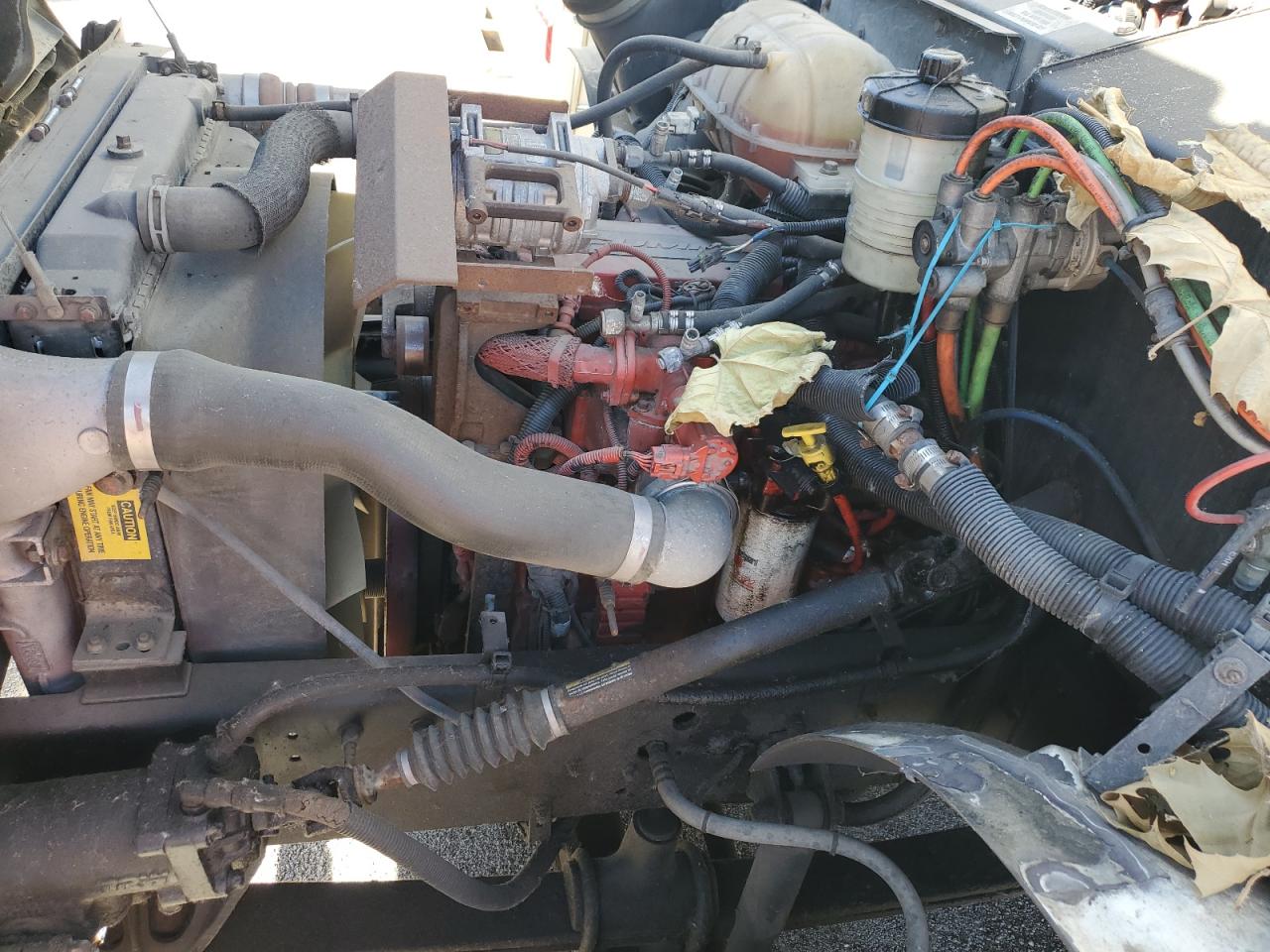 Lot #3274654918 2013 BLUE BIRD SCHOOL BUS