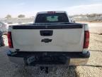 Lot #3305430431 2014 CHEVROLET SILVERADO