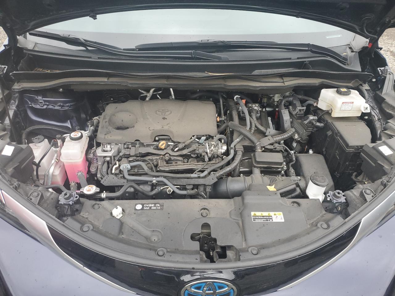 Lot #3318906912 2023 TOYOTA SIENNA XSE