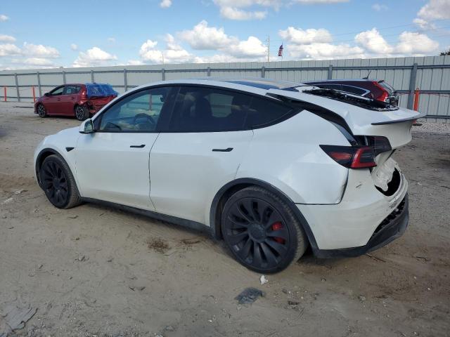 2020 TESLA MODEL Y #3303974716