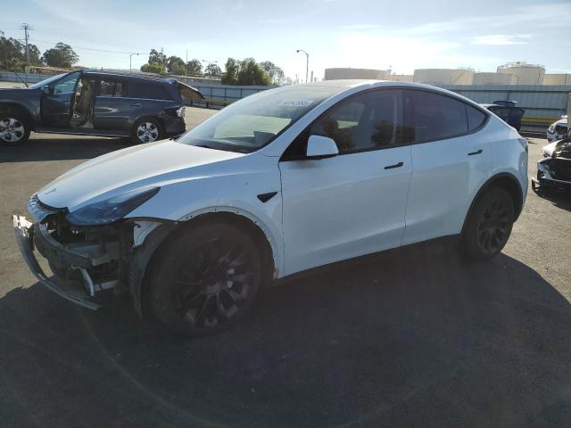 2023 TESLA MODEL Y - 7SAYGDEE6PF676283
