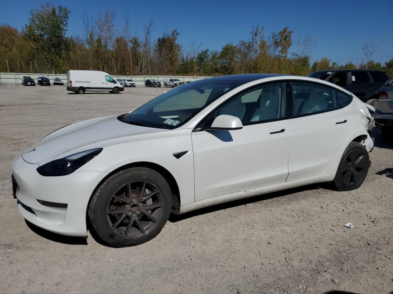 TESLA MODEL 3