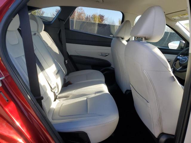 2025 HYUNDAI TUCSON SEL #3302822899