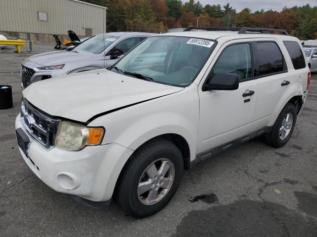 Global Auto Auctions: 2012 FORD ESCAPE XLT