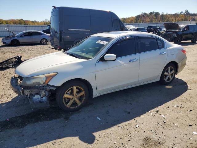 2010 HONDA ACCORD EXL - 1HGCP3F86AA009046