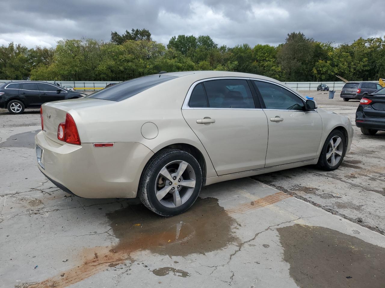 CHEVROLET MALIBU 1LT