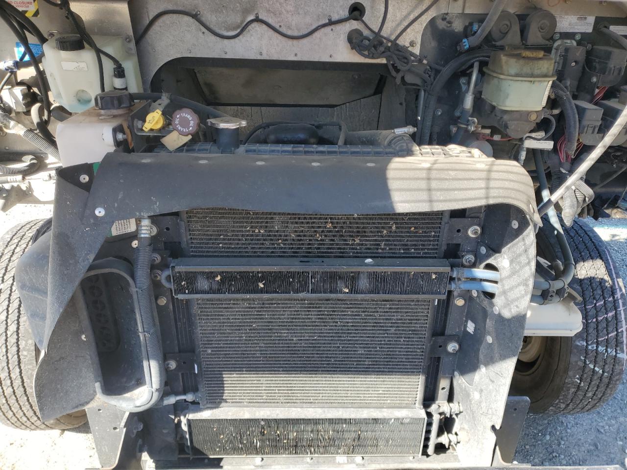 Lot #3312407727 2020 FREIGHTLINER CHASSIS M