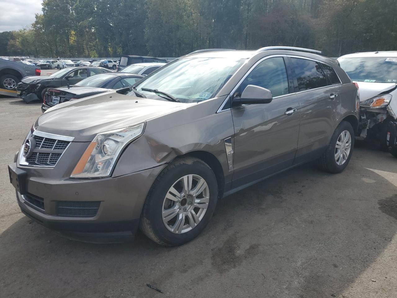 CADILLAC SRX LUXURY COLLECTION
