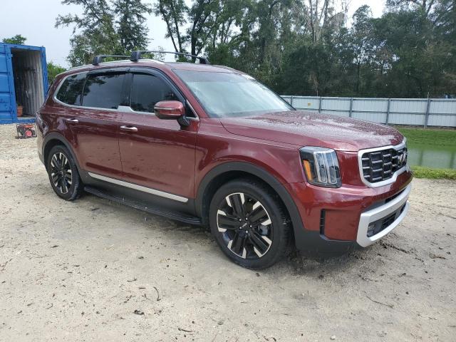 2024 KIA TELLURIDE 5XYP5DGC6RG493147