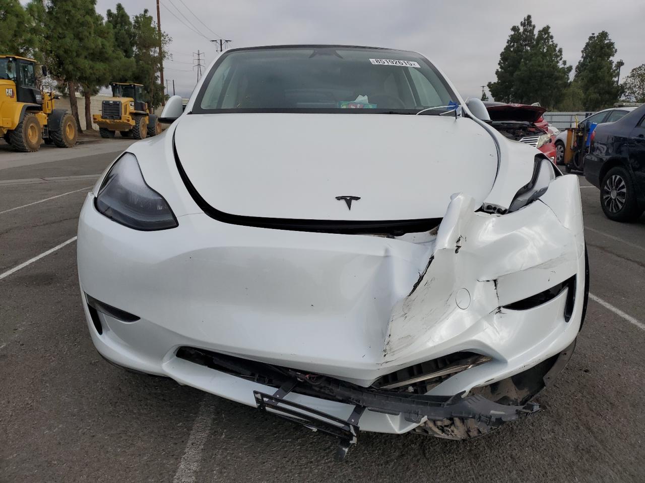 Lot #3302700005 2024 TESLA MODEL Y