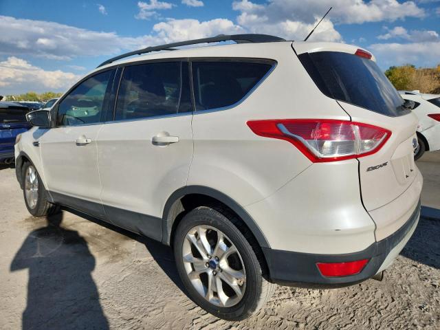 2013 FORD ESCAPE SE #3291765234