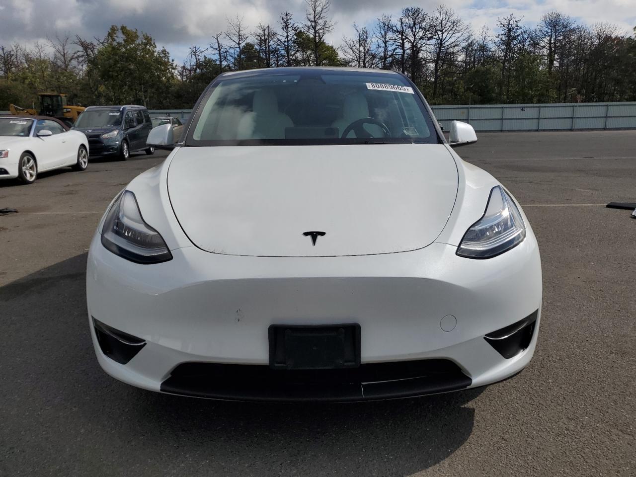 Lot #3312270779 2023 TESLA MODEL Y