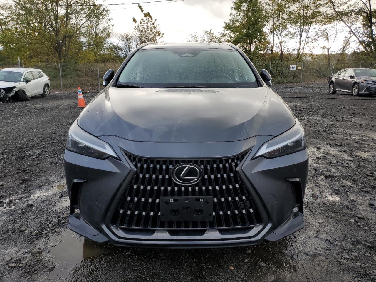 LEXUS NX 350 PREMIUM