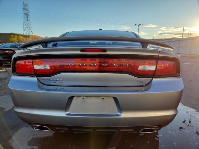 2014 DODGE CHARGER R/ - 2C3CDXDT2EH364765