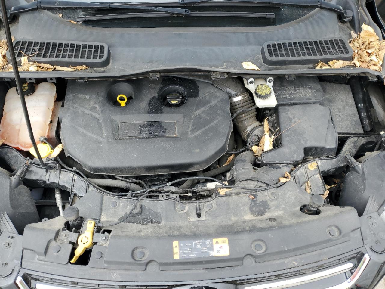 FORD ESCAPE TITANIUM