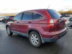 Lot #3311466236 2009 HONDA CR-V EXL