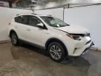 Lot #3304629944 2016 TOYOTA RAV4 HV XL