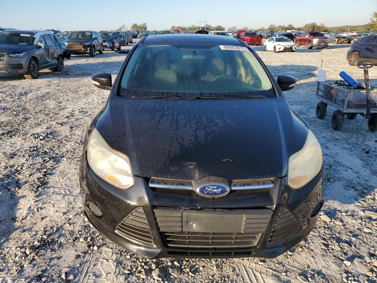 FORD FOCUS SE