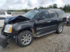 Lot #3304666907 2013 GMC YUKON DENA