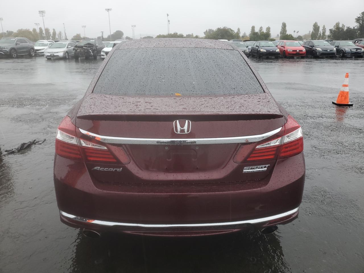 HONDA ACCORD SPORT SPECIAL EDITION