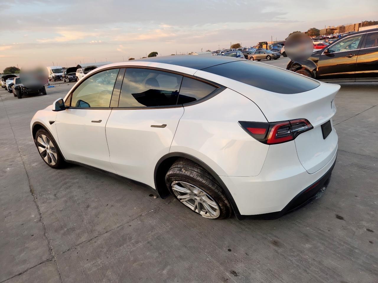 Lot #3305610724 2021 TESLA MODEL Y