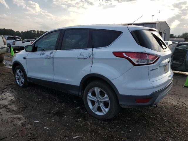 2013 FORD ESCAPE SE #3279664919