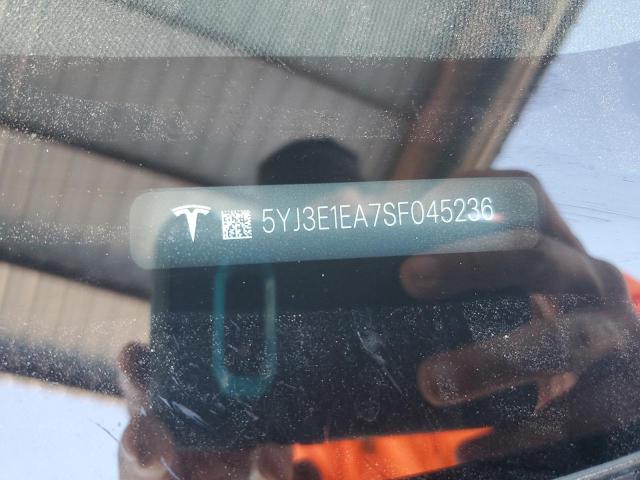 2025 TESLA MODEL 3 #3302878899