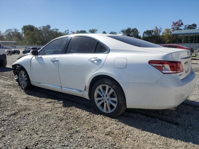 2010 LEXUS ES 350 #3277068164