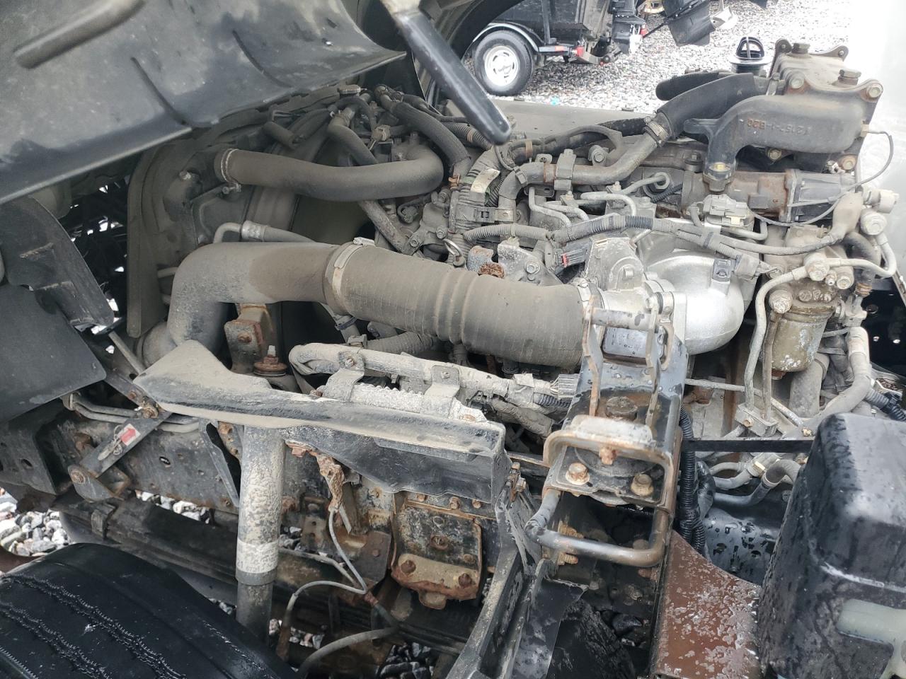 Lot #3281419988 2017 ISUZU NQR