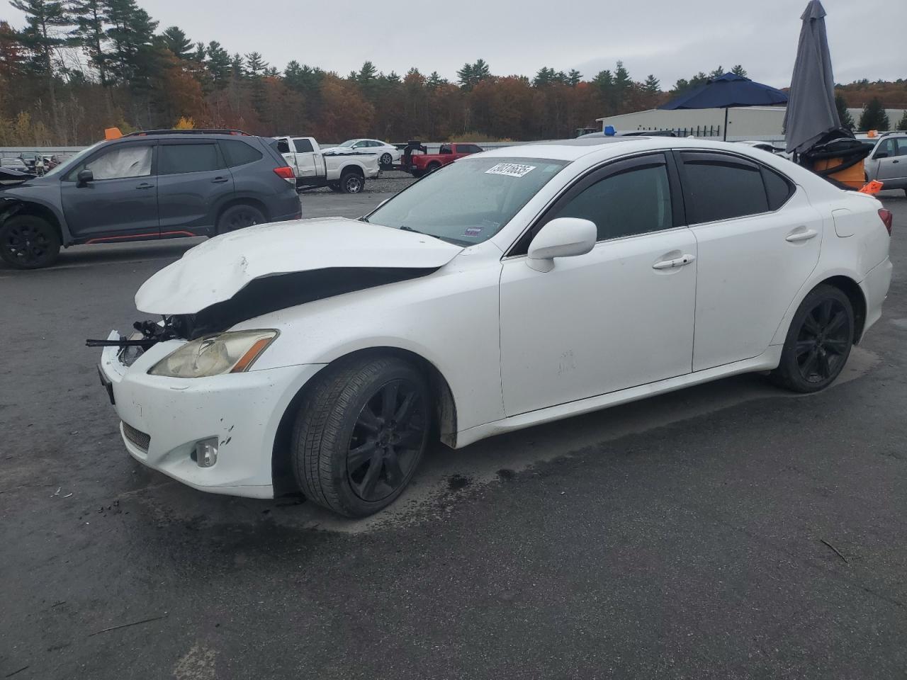 Lot #3282633065 2008 LEXUS IS 250